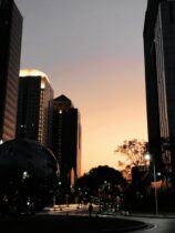 10.02 外高橋-新江灣城