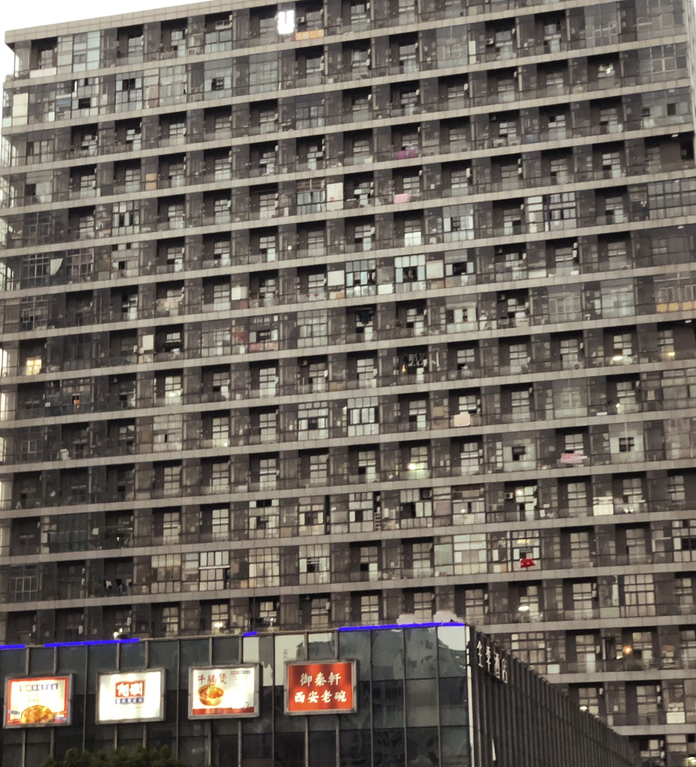 10.03 安亭-白鶴-東方綠舟